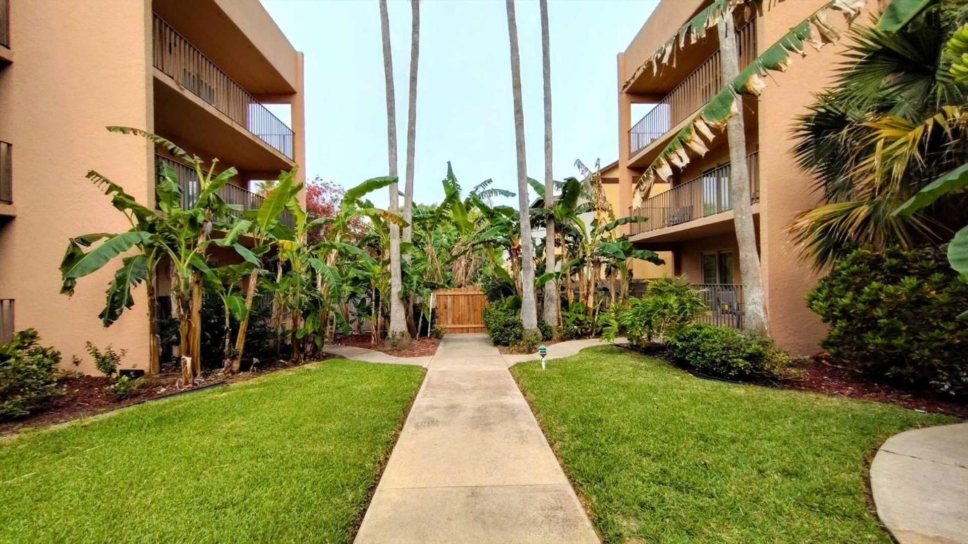 Beachview 206 Condominium Condo South Padre Island Eksteriør bilde
